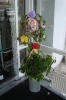 2014-06-25 60er Schnalzer Herbert
