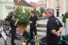 2014-08-22 Konzert Frohnleiten_9